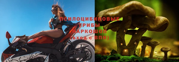 молекула духа Переславль-Залесский