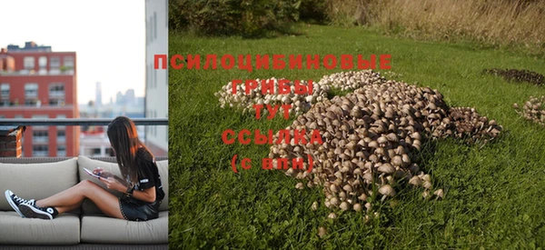 spice Баксан