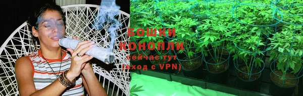 молекула духа Переславль-Залесский