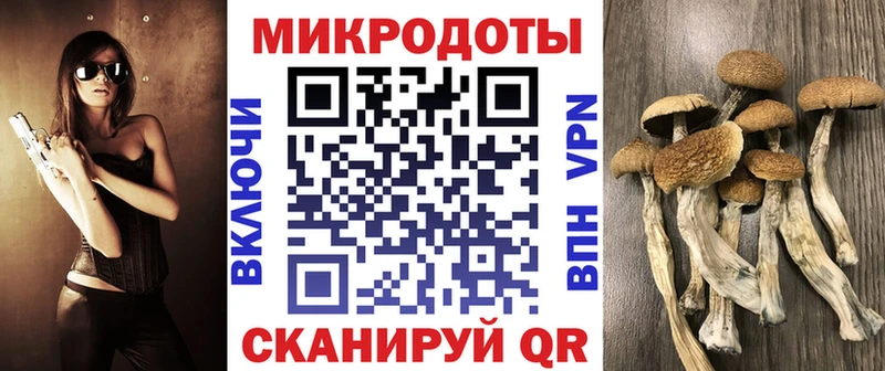 продажа наркотиков  Шиханы  ОМГ ОМГ вход  Псилоцибиновые грибы прущие грибы 